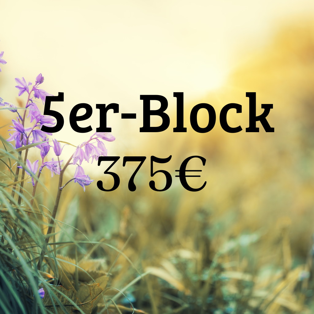 5er-Block