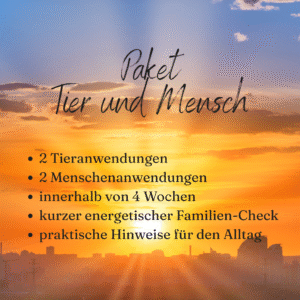 Tier und Mensch