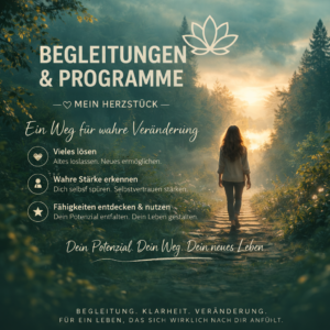 Begleitungen & Programme